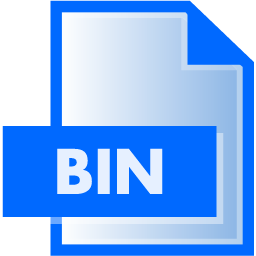 BIN File Extension
