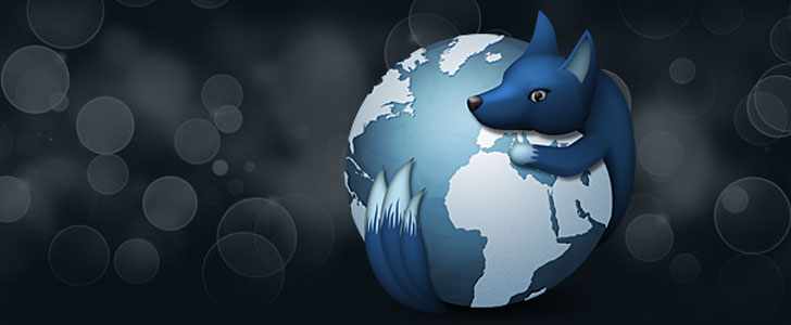 What-is-WaterFox-Project