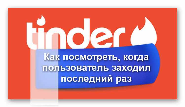 Поиск информации о пользователе в Тиндер