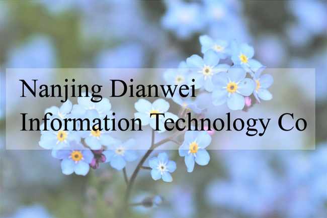 Название Dianwei