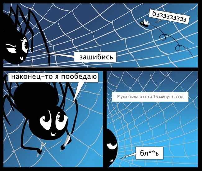Комикс на 3 фрейма про паука и муху