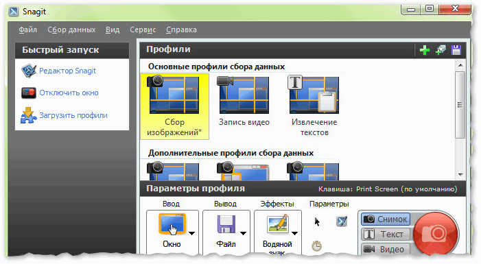 Snagit - главное окно программы