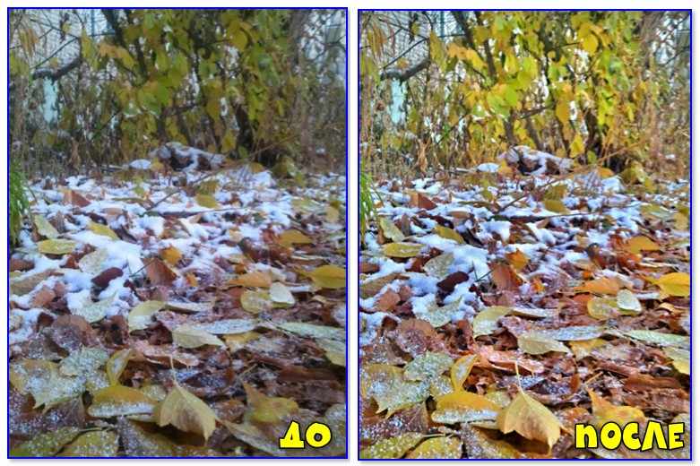 До и после - осенний листья