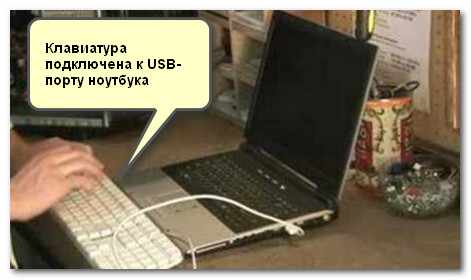 В качестве примера (к ноутбуку подключена USB-клавиатура)